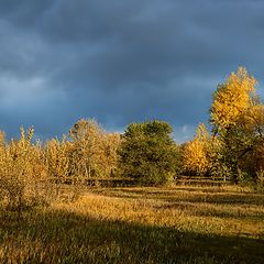 фото "Октябрь"