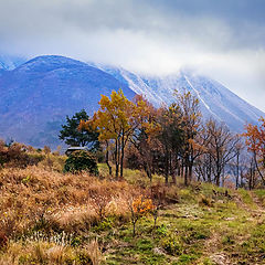 фото "Осень"