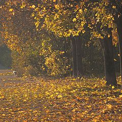 фото "Променад"