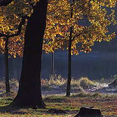 фото "Осень"