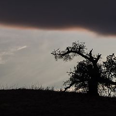 фото "ПЕЧАЛЬ"