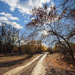 фото "Осенняя дорога"