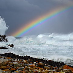 photo "Cape Of Good Hope"