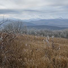 фото "Первые заморозки."