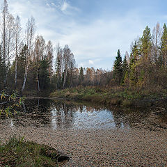 фото "Листопад"