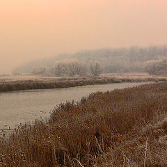 фото "Заморозки"