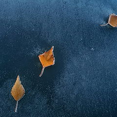 фото "подмороженная тропинка Поздней Осени"