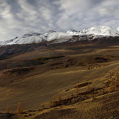 фото "Курайский хребет"