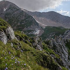 фото "Собирающий дождь."