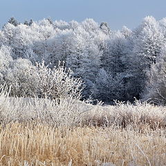 фото "Зима близко... II"