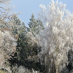 фото "Зима близко... III"