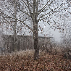 фото "Осень в деревне"
