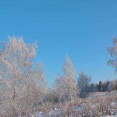 фото "Лазурь"