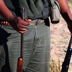 фото "Kruger National Park"