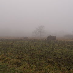 фото "туманы ноября"