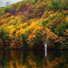 photo "Осенний Крымский этюд с горным озером"