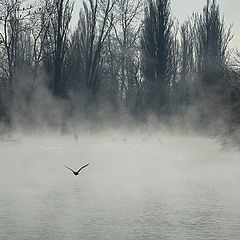 фото "Туманное утро"