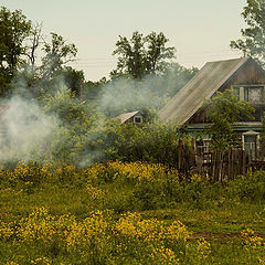 фото "Хорошо в деревне..."