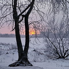 фото "у нас зима"