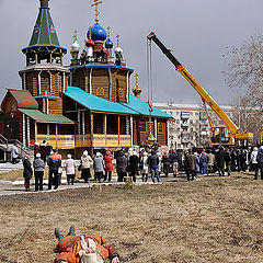 фото "Прониклась"