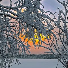 фото "декабрь"