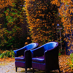 photo "Seats in nature"