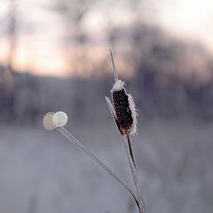 фото "не по пути"