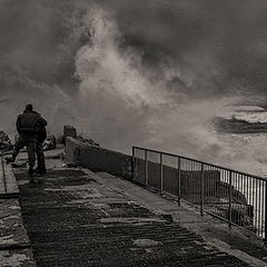 photo "Strangers in the storm"