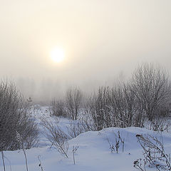 photo "On the morning of January."