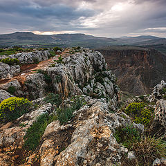 фото "Arbel"