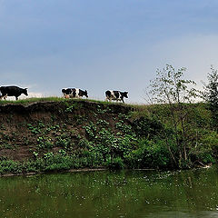 фото "Домой"