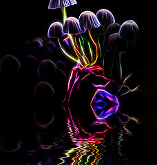 фото "neon mushrooms"