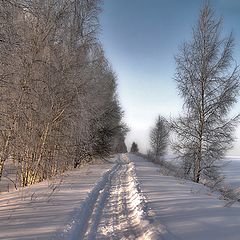 фото "Зимняя прогулка"