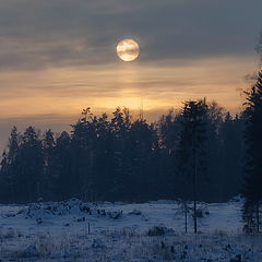 фото "Посмотри, как над лесом встаёт луна"