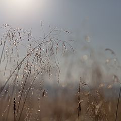 фото "Рожденье музыки и света..."