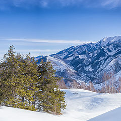 фотоальбом "Пейзаж"