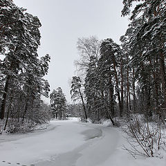 фото "зимний день"