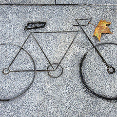 фото "Велодорожка. Осень"