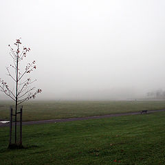 фото "Приближение тумана"