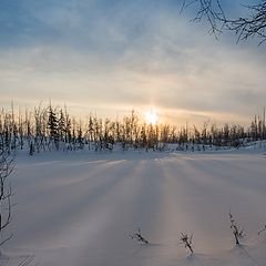 фото "У озера"