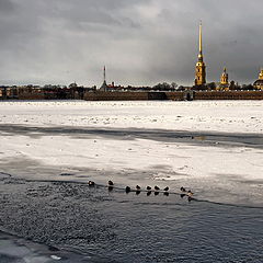 фото "Полынья на Неве"