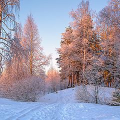 фото "Зимний закат"