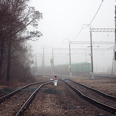 фото "Красный огонек"