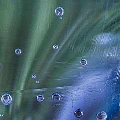 фото "upwards"