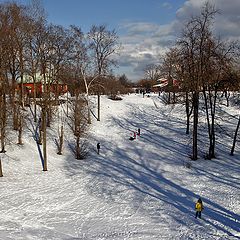 фото "Уж солнце выше, день длиннее"