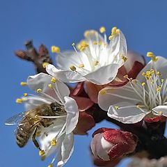 фото "Нашла!"