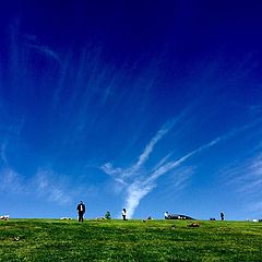 фото "Blue Sky, Green Grass"