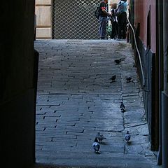 фото "alley"