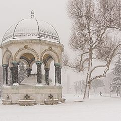 фото "istanbul winter"