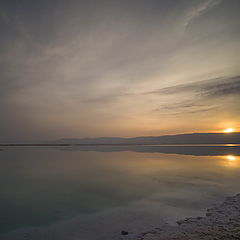 photo "Dead sea"